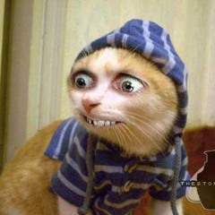 The Cool Hayden Evans