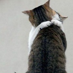 Wallance jackie mattson