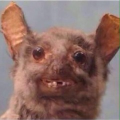 Gonzalo Puelles Molina