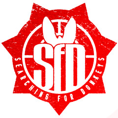 Searching For Donkeys