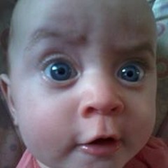 Danny Cody-Jay Bridge