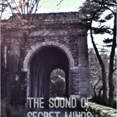 The Sound Of Secret Minds S Stream The Sound Of Secret Minds S Stream