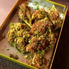 KayJay Rebel'Mama DeSatge