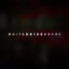 White Noise Decoy