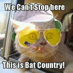 Pedro J. Esteban Gonzalez