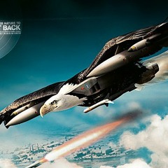 eagleoutfighter