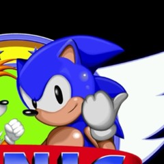 SonicFan070802