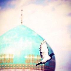 Batooolebrahim