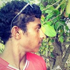 Hamittey Hamittey