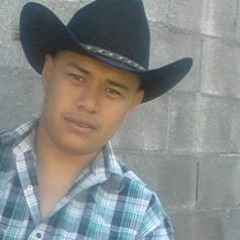 Gustavo Salinas Silva