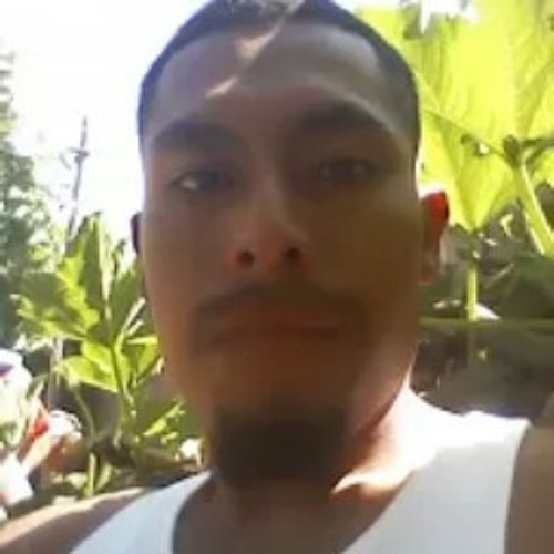 Raulramirez Ramirez’s avatar