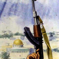 mohammad TH