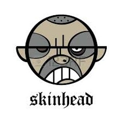 MR.SKINHEAD RARE