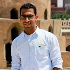 kareem morsy