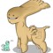 brony324