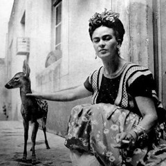 Apache Rose Peacock 1