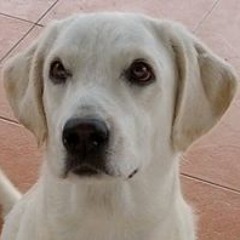 William Ch'ng Teng Wei