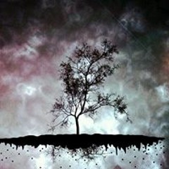 Krystal Rodriguez ViBez