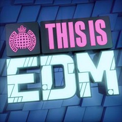 THE BEST EDM
