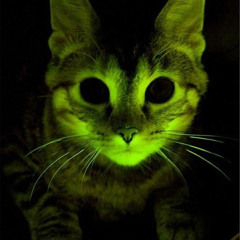 BakeNeko(ゾンビ猫)