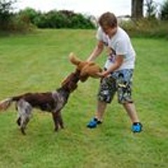 Jippe van Broekhoven