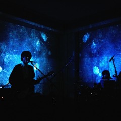 Grizzly On The Planet