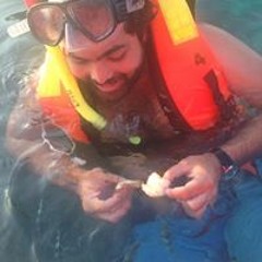 Mario Domínguez Zubieta