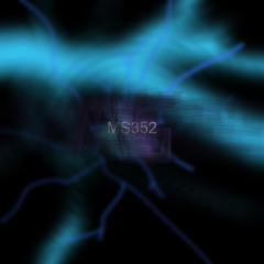 MeepSheep352