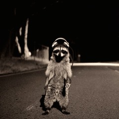 LiberalRaccoon