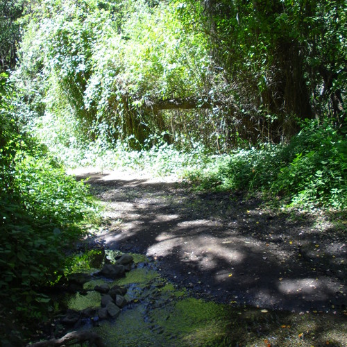 Utopíantrópico maqueta