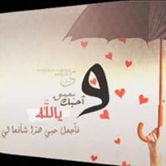user986604146