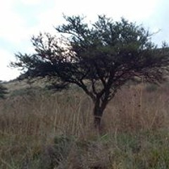 lo k me late k no c donde clsificar n.n