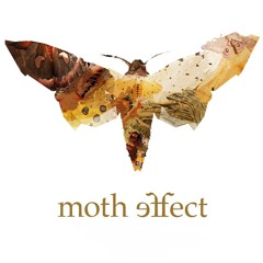 Moth  Effect
