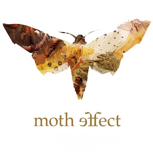 [DEMO 2014] MOTH EFFECT - Void