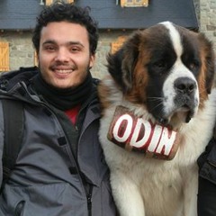 Diego N