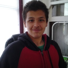 Mario Luis Lerma