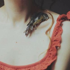 Manga İstemem söz sevmeni