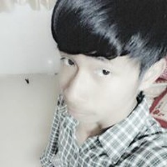 djz bee