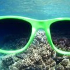 Remi Pontier-meliani