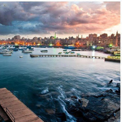 Dalya Hamdy