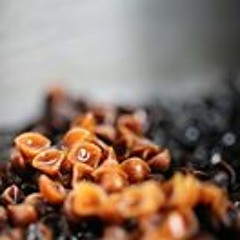 Raquel Gomez Delgado