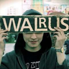 The Walrus (Y)