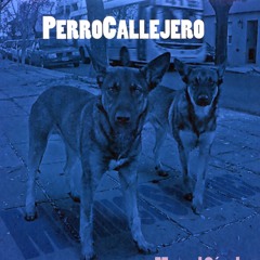 manuel sanchez payador