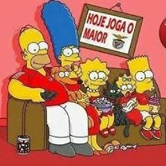 Ricardo Rodrigues 223