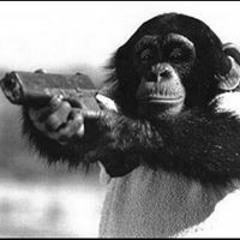 Francisco Valderrama 5