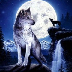 Wolves are peace