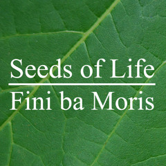 Seeds of Life Timor-Leste