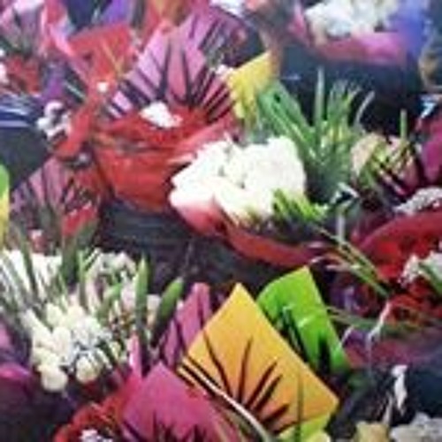 Stream Amy Belanger music Listen to songs, albums, playlists for free