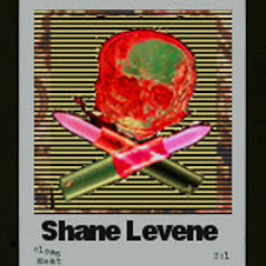 ShaneLevene