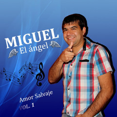 Miguel - El angel